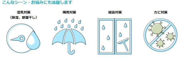 カライエ(2)_コピー