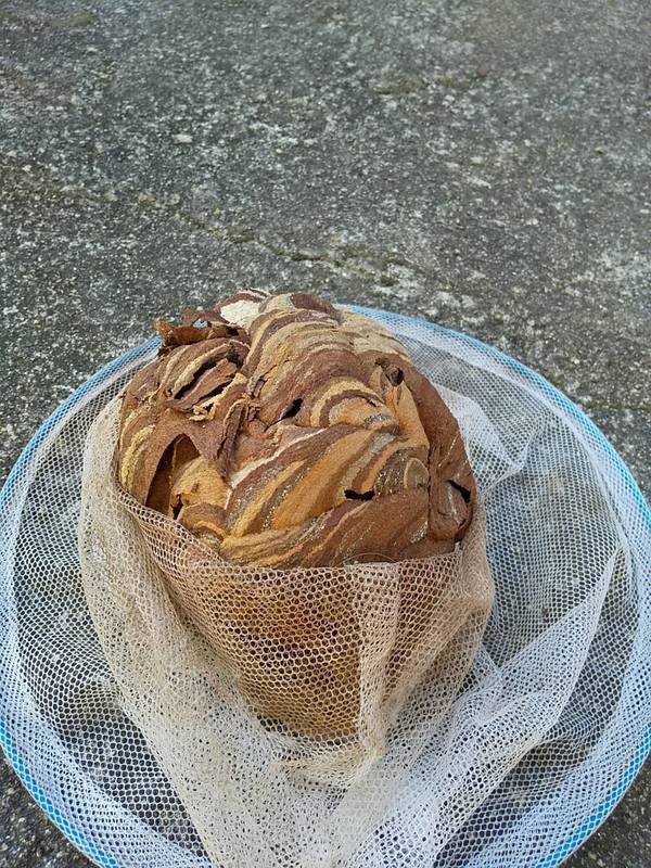 6928_コピー_コピー