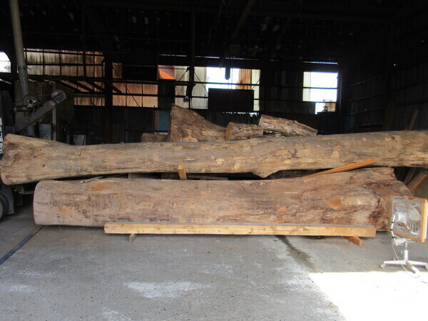 IMG_6771_コピー_コピー